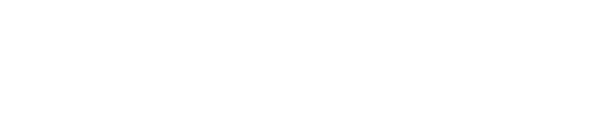 Wordmark white